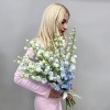 15 махровых голубых дельфиниумов